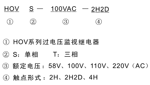 HOVT-100VAC-2H2D型號(hào)及其含義